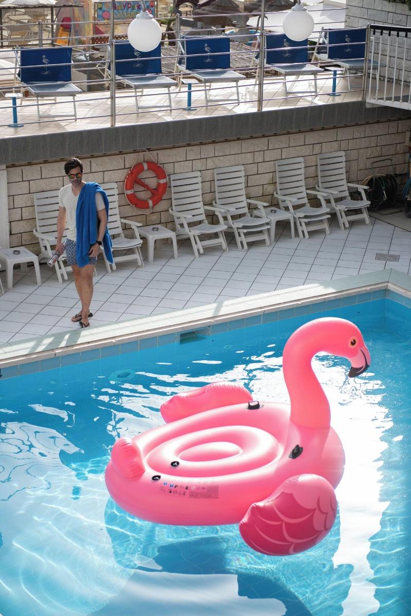 Flamingo image
