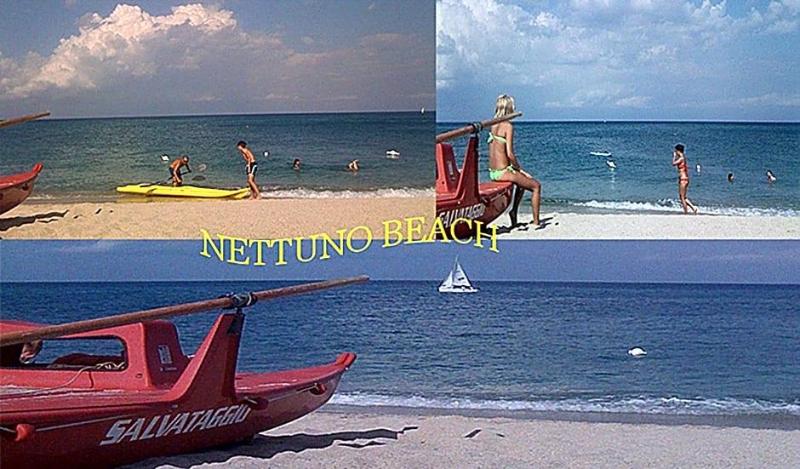 Nettuno image