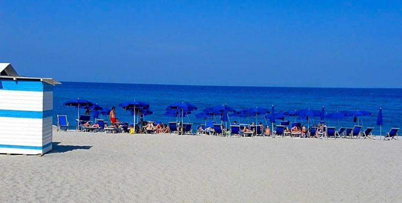 Nettuno image