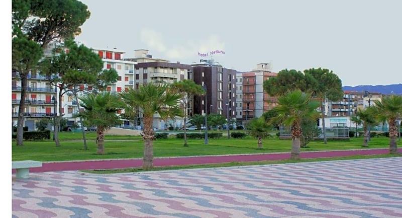 Nettuno image
