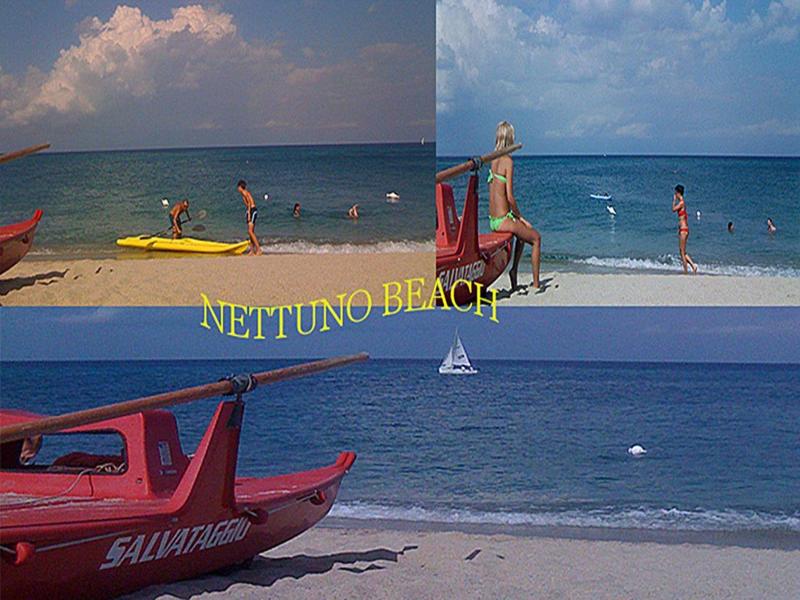 Nettuno image