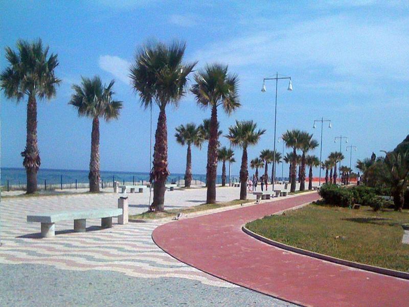 Nettuno image