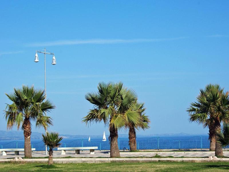 Nettuno image