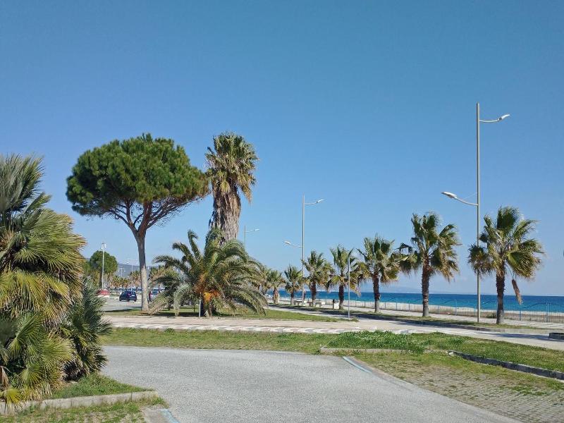 Nettuno image