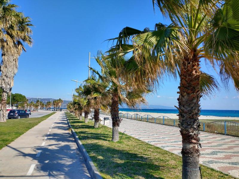 Nettuno image