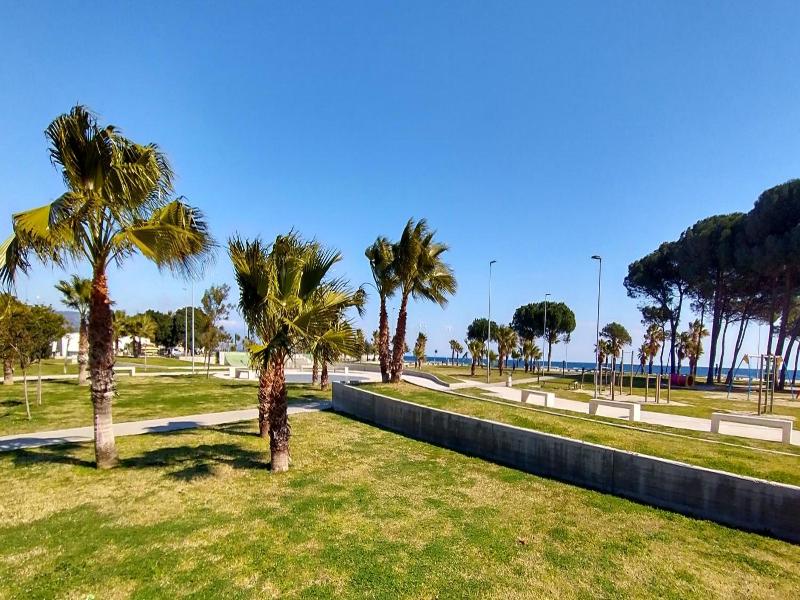 Nettuno image