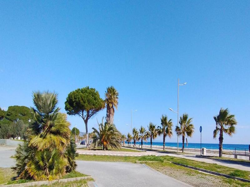 Nettuno image
