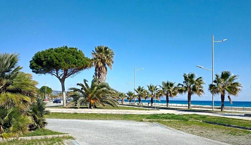 Nettuno image