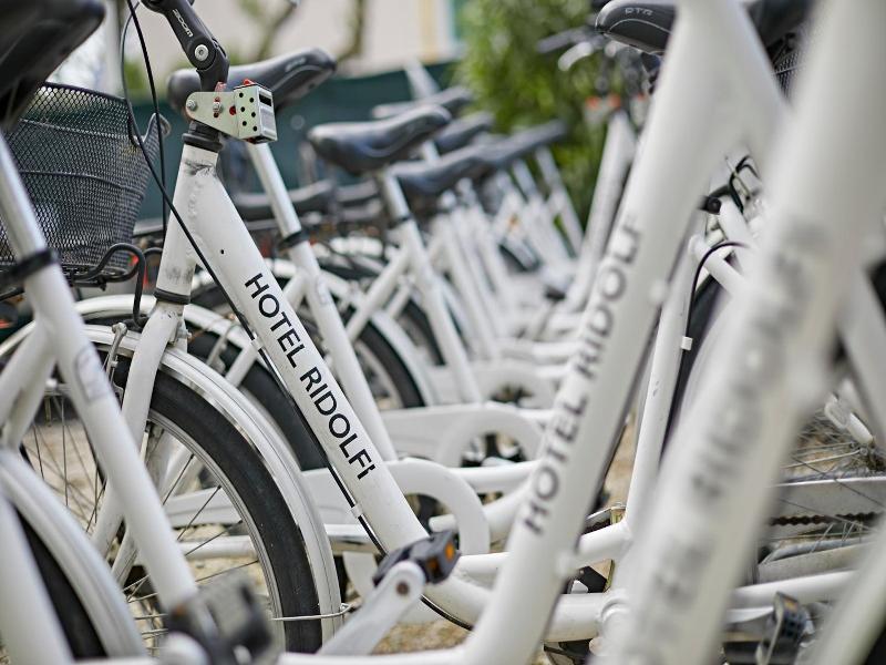 Ridolfi image