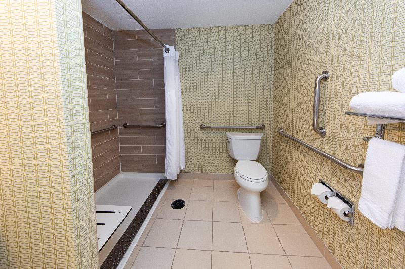 Holiday Inn St. Louis Arpt West-Earth City By IHG image