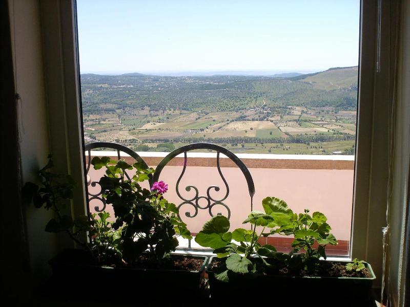 Casa da Árvore — general view