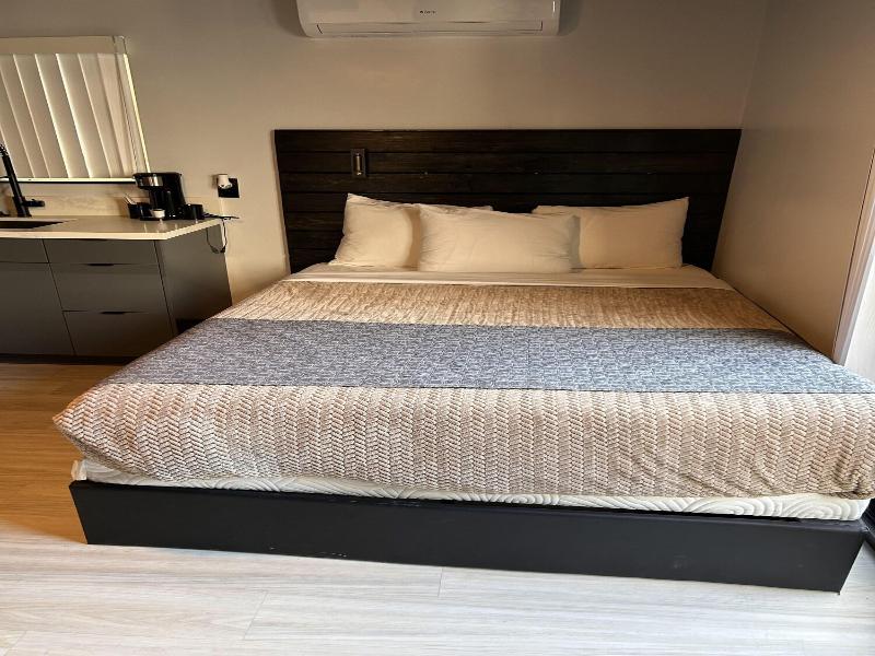 The Neon Elm Hotel image