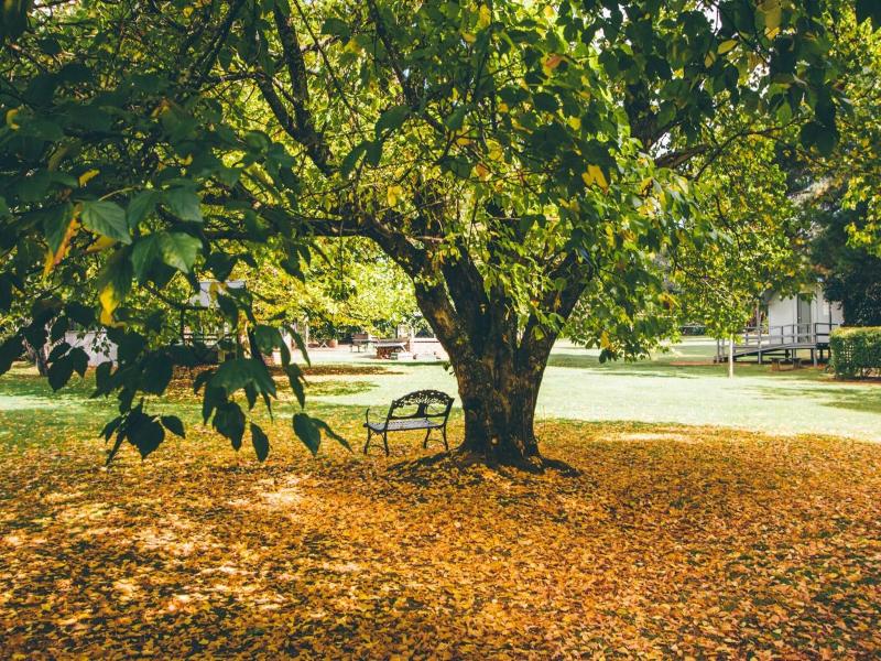Federation Gardens and Possums Hideaway image