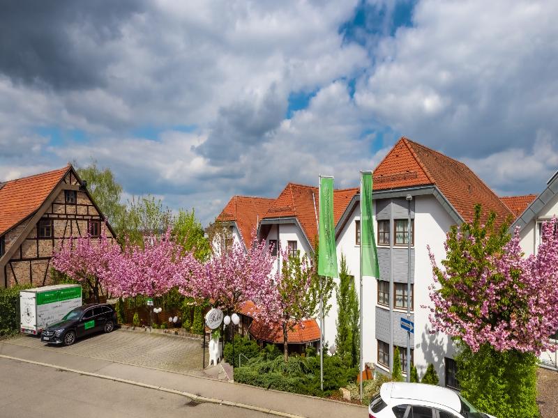 Hotel Restaurant Zum Reussenstein — general view