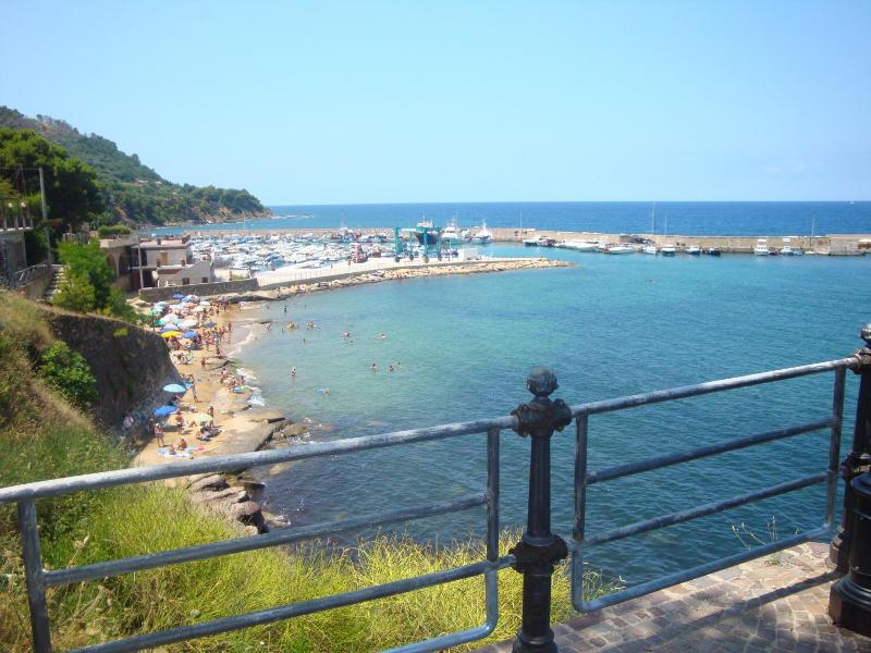 Mareluna image