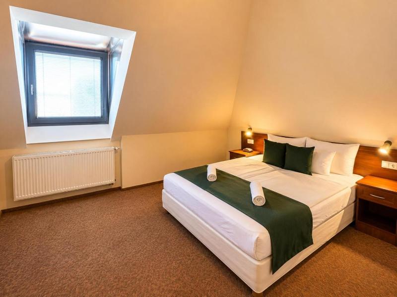 Hotel Viktoria image