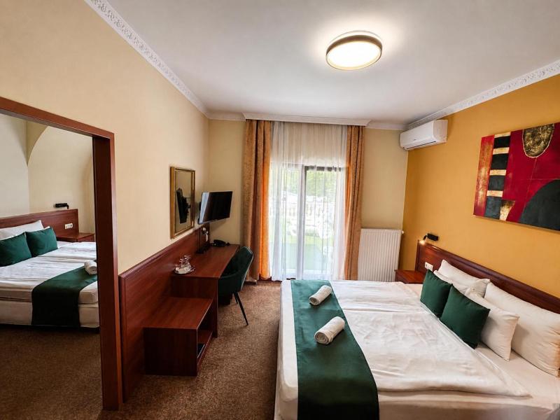 Hotel Viktoria image