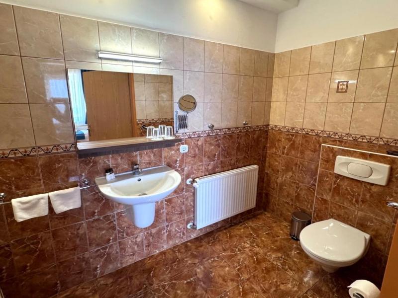 Hotel Viktoria image