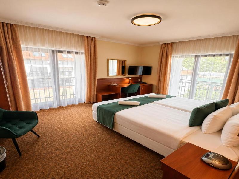 Hotel Viktoria image