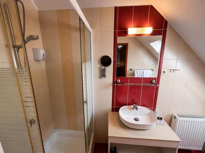 Hotel Viktoria image