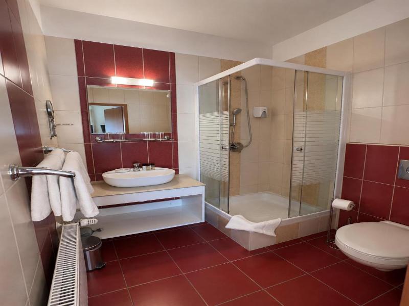 Hotel Viktoria image