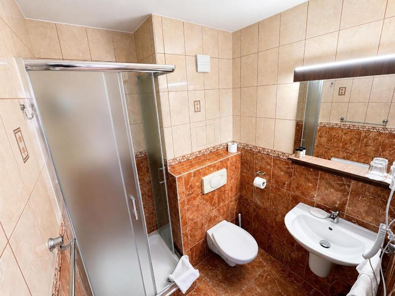 Hotel Viktoria image