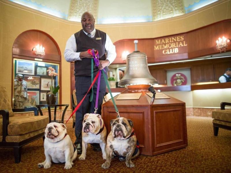 Marine's Memorial Club image
