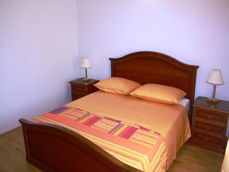 Pansion Skelin image