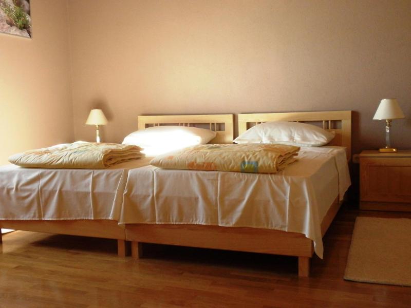 Pansion Skelin image