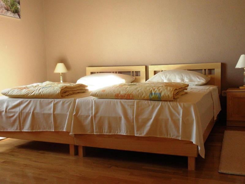 Pansion Skelin image