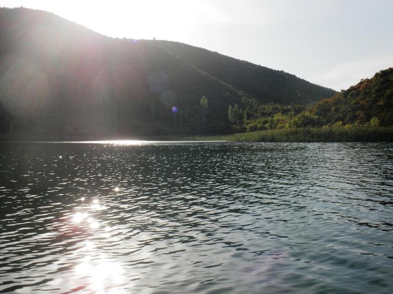Pansion Skelin image