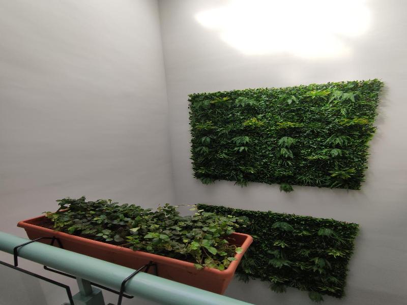 Samay Hostel image
