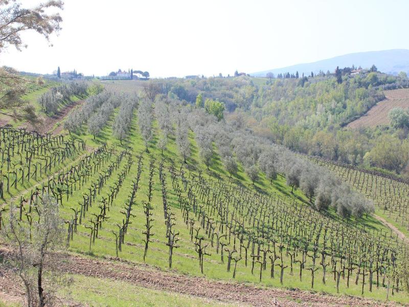 Bioagriturismo Podere Pretoia image