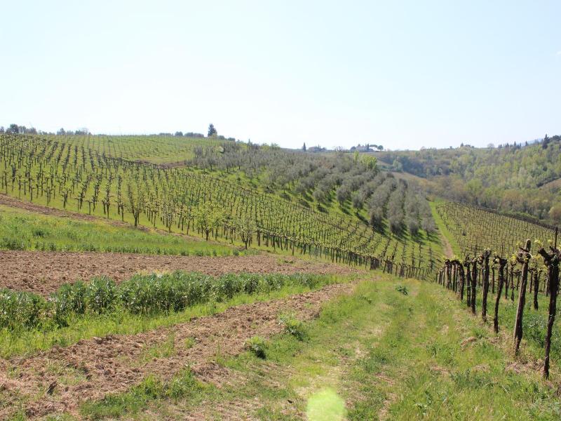 Bioagriturismo Podere Pretoia image