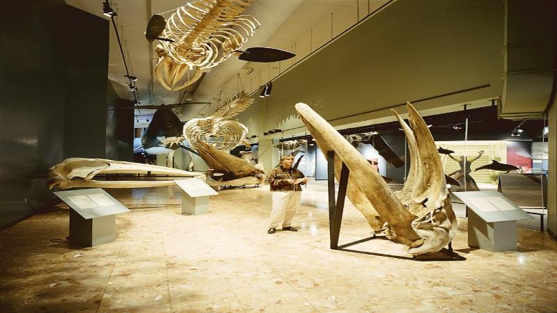 Holiday Inn Express & Suites Saint John Harbour