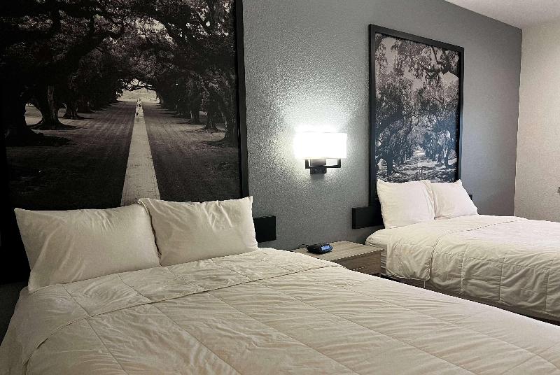 Super 8 By Wyndham Rosenberg Tx image