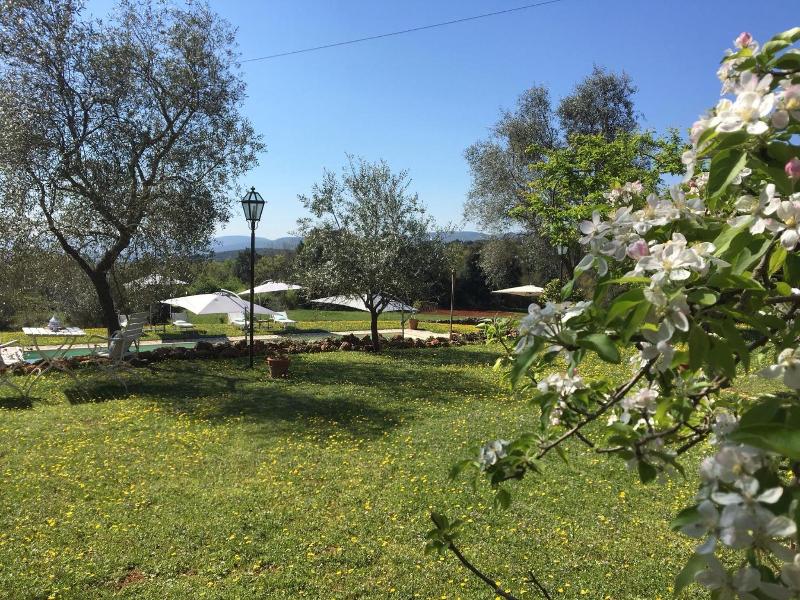 La Canonica di Fungaia image