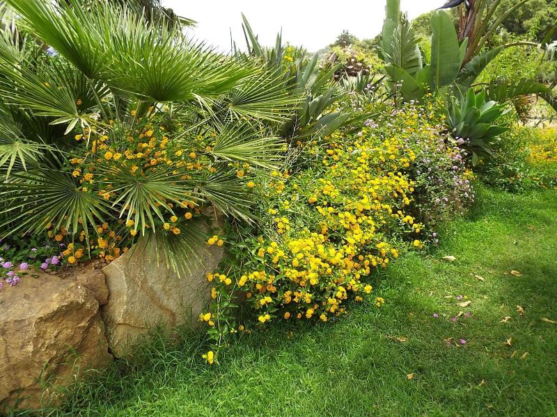 Agriturismo Cefalù - Guest House image