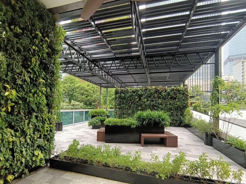 Orchid Hotel image