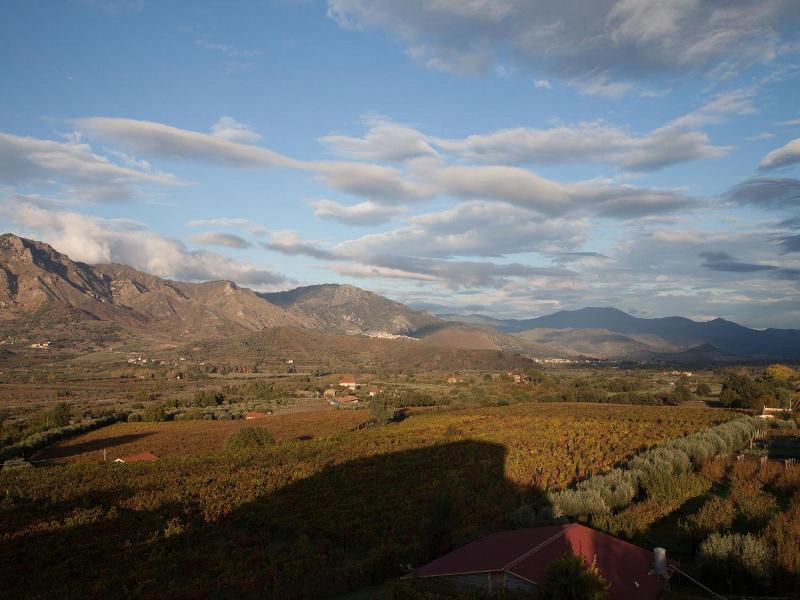Feudo Vagliasindi image