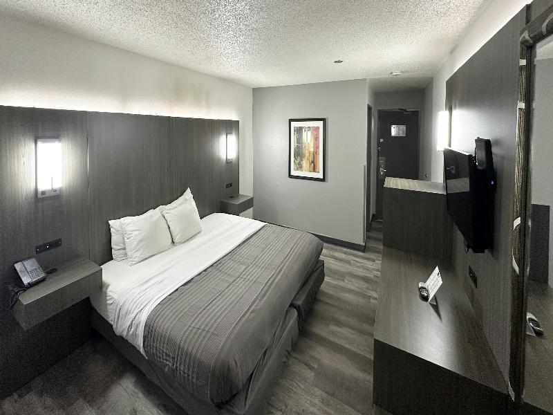 1 King Bed Non Smoking