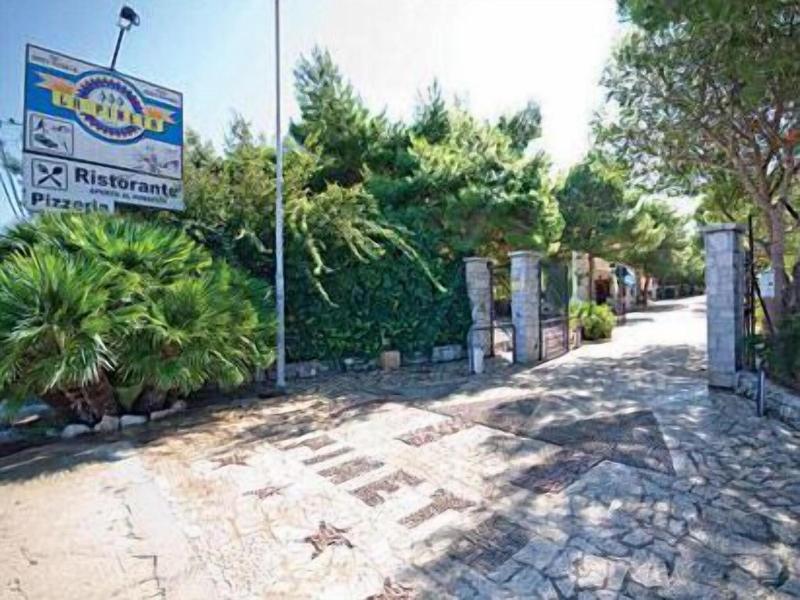 Camping La Pineta image