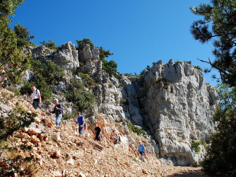 Bretanide image