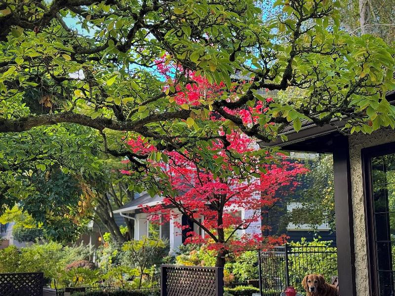 Bacon Mansion Bed & Breakfast image