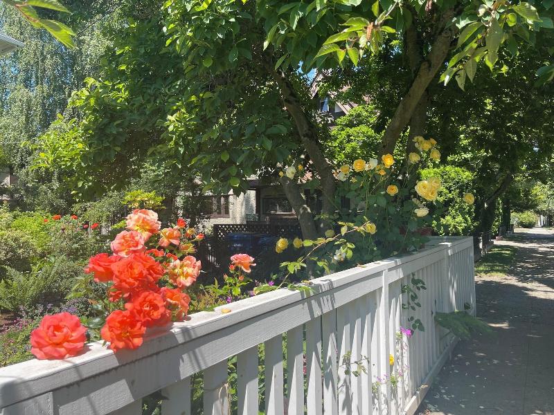 Bacon Mansion Bed & Breakfast image