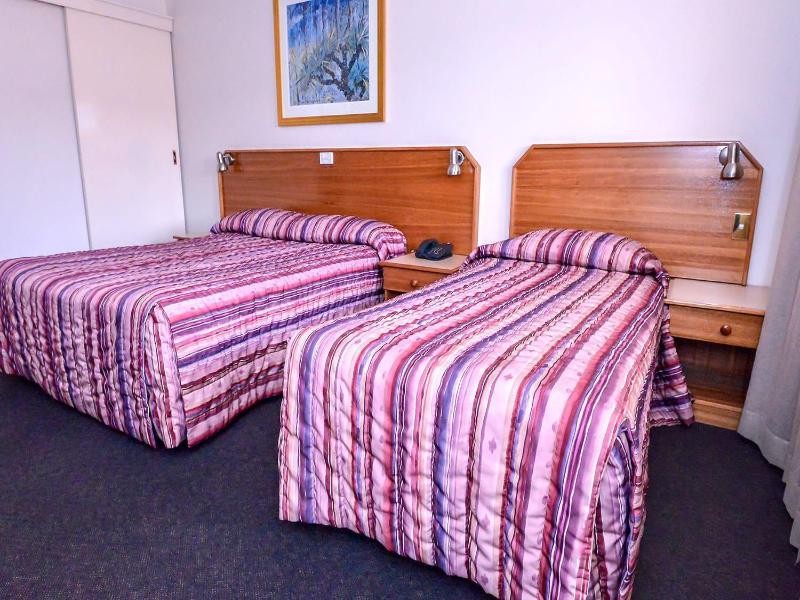 Narellan Motor Inn image