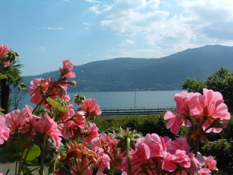Tre Ponti image