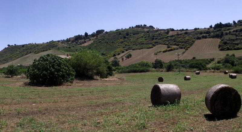 Casale delle Rose image