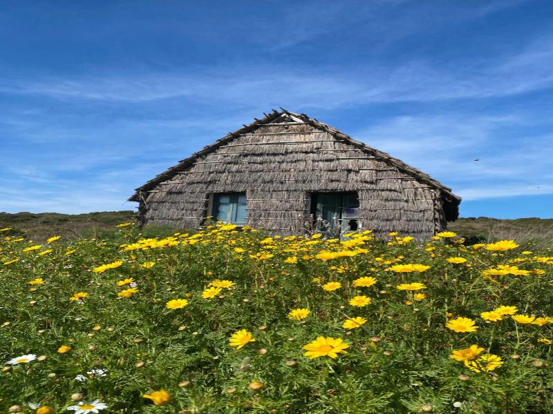 Villa Canu image