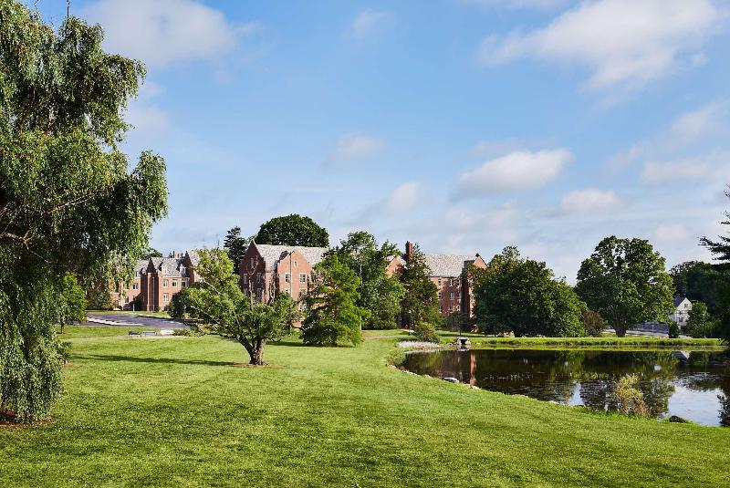 Graduate By Hilton Storrs